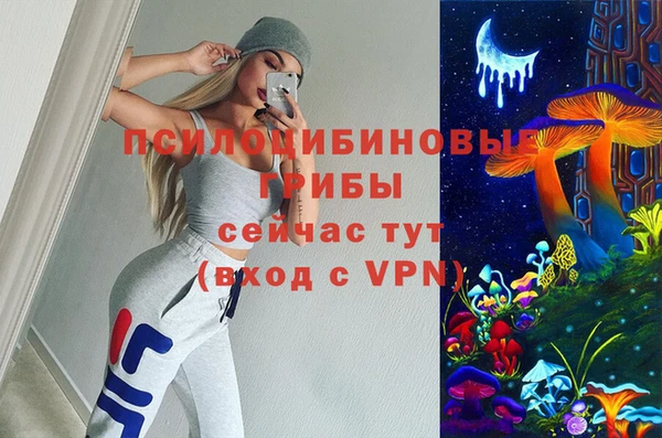 герыч Алексин