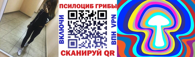 Галлюциногенные грибы Psilocybe  площадка клад  Энем 
